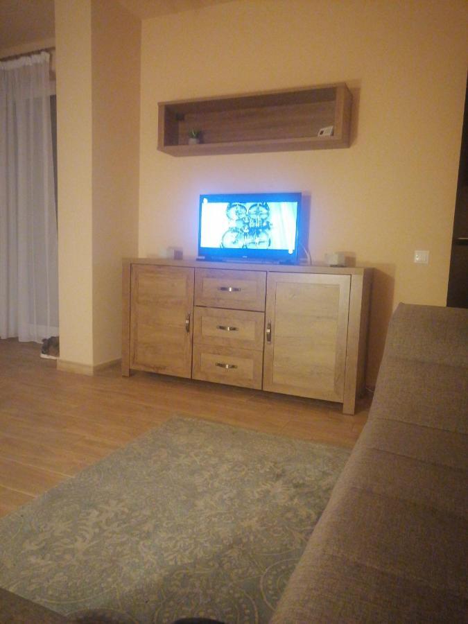 Central Apartment In Mihai Viteazu Square クルージュ＝ナポカ 部屋 写真